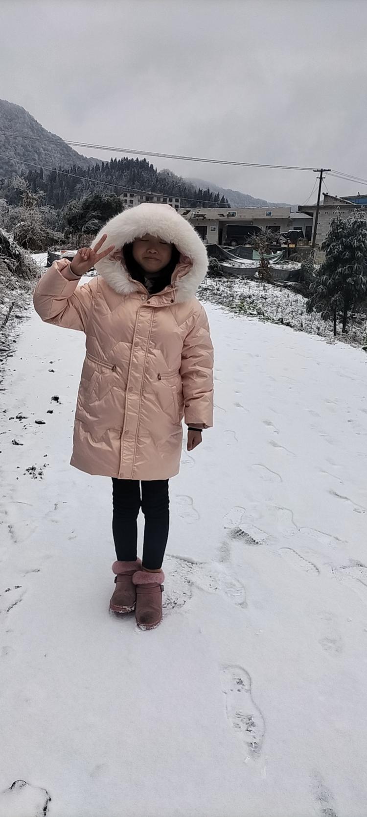 菜小全