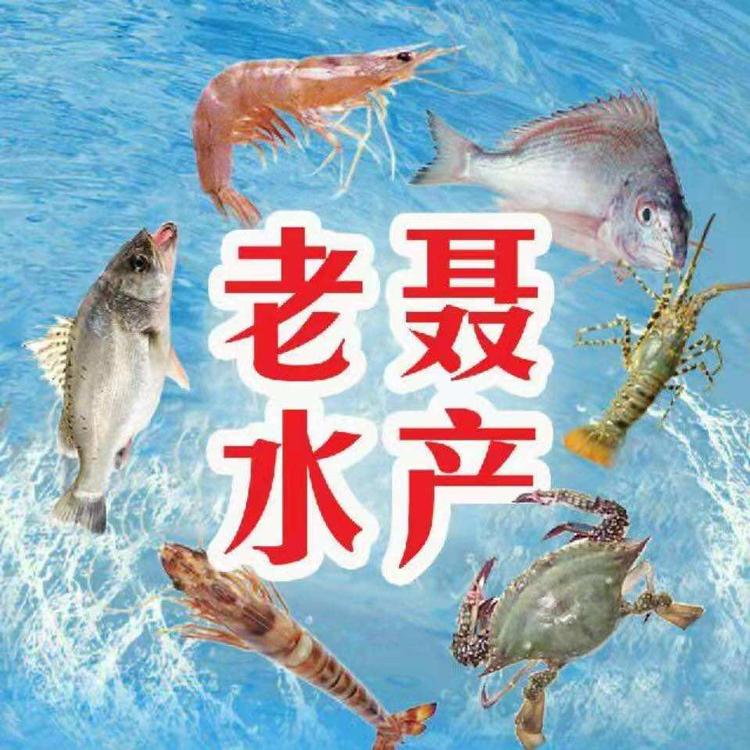莱州市万通水产市场老聂水产店的小店