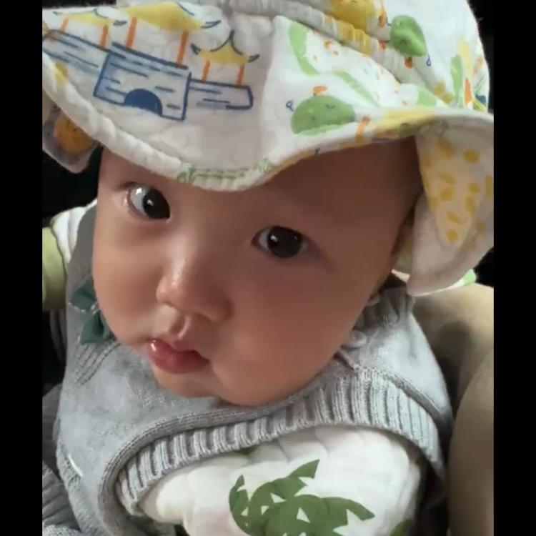 铁牛集