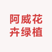 阿威花卉绿植