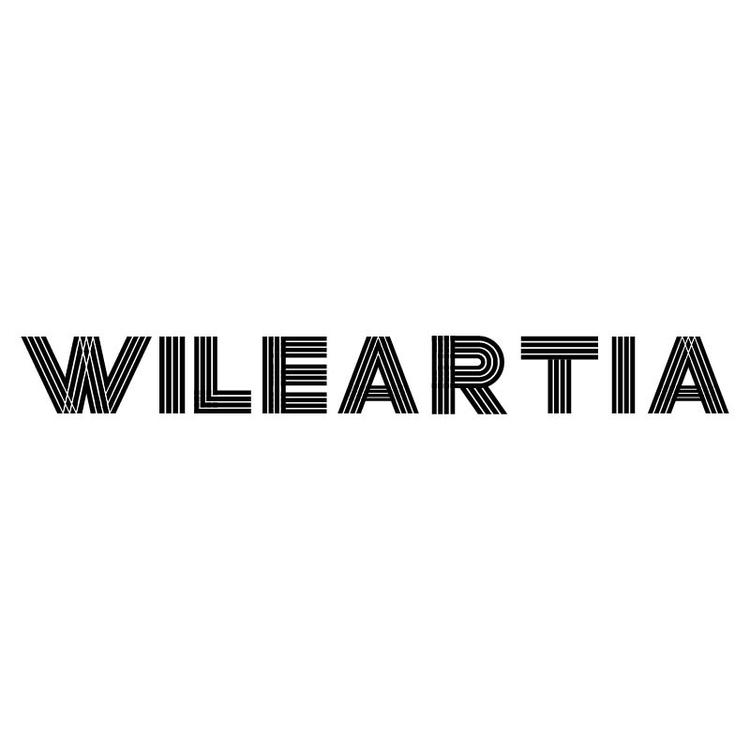 WILEARTIA轻奢品质男装