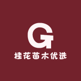 桂花苗木优选