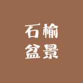 石榆盆景