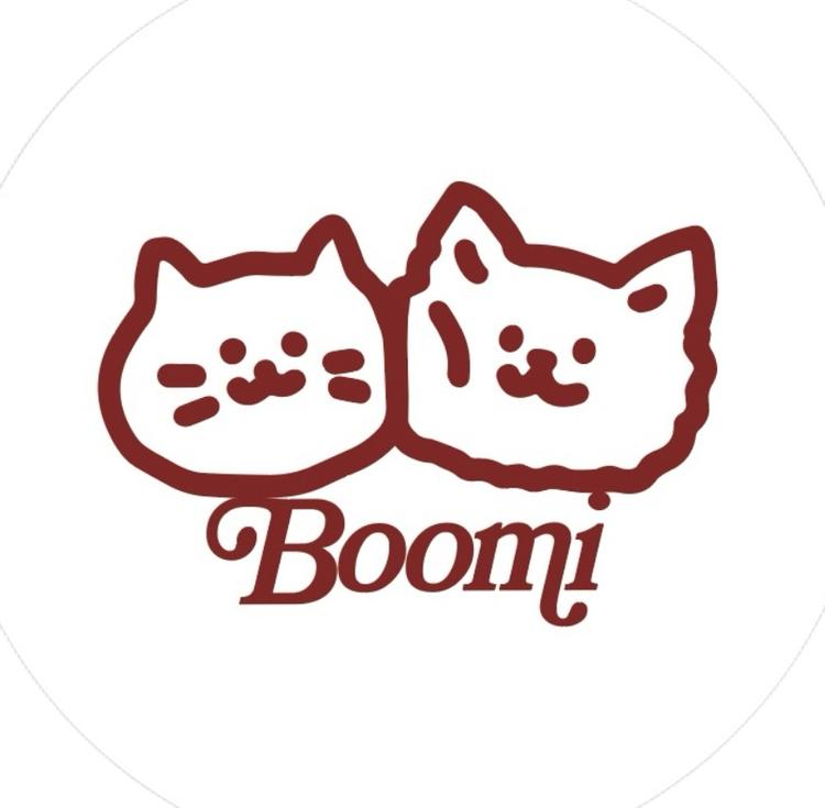 Boomi