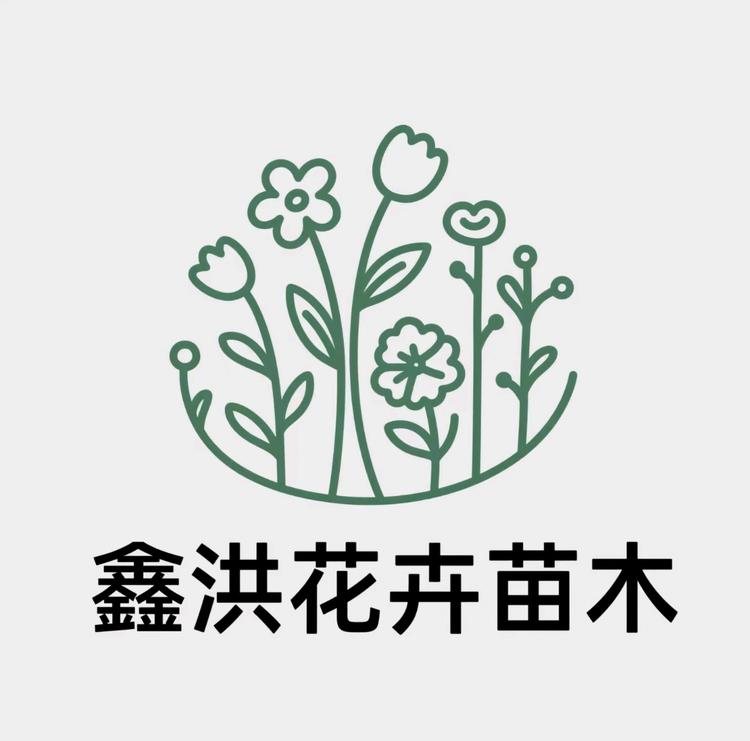 鑫洪花卉苗木
