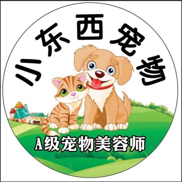 小东西宠物店