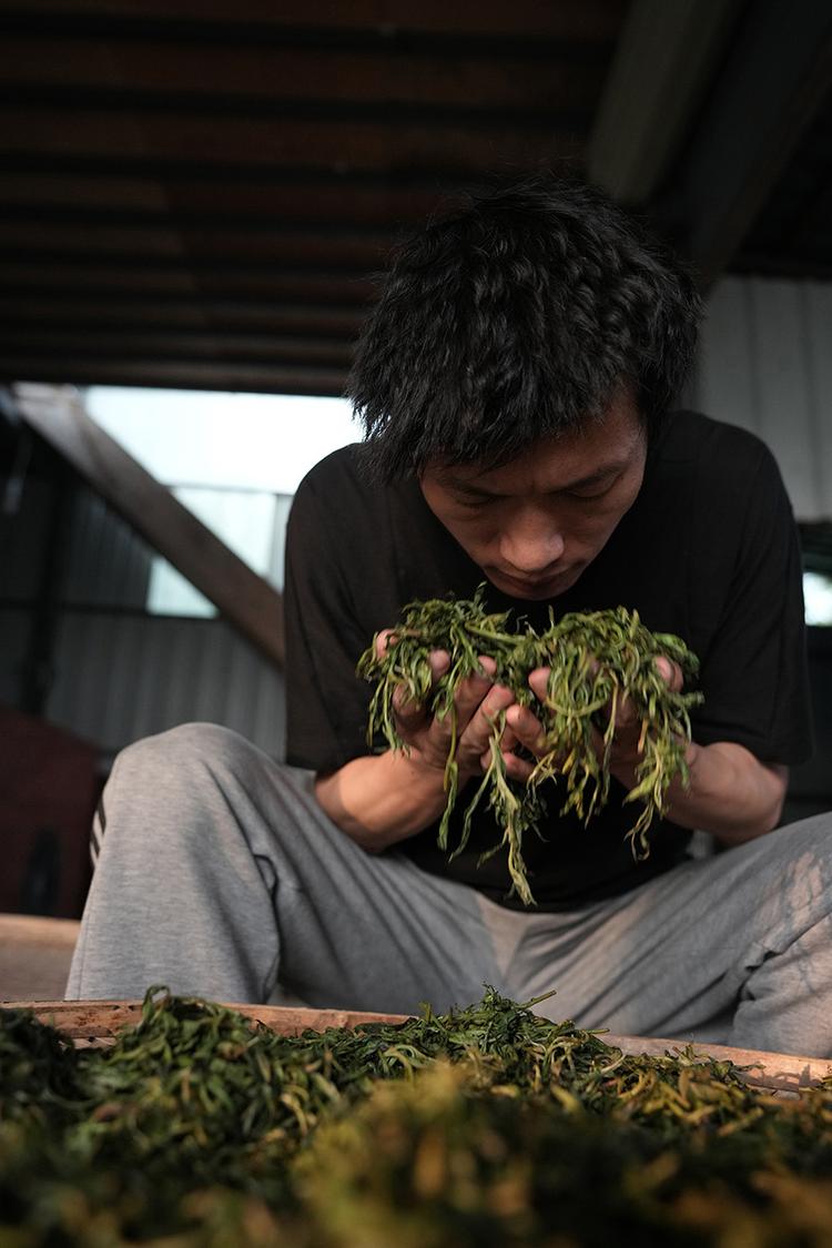 李应宏源头古树茶