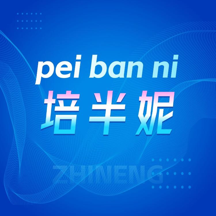 培半妮数码智能企业店