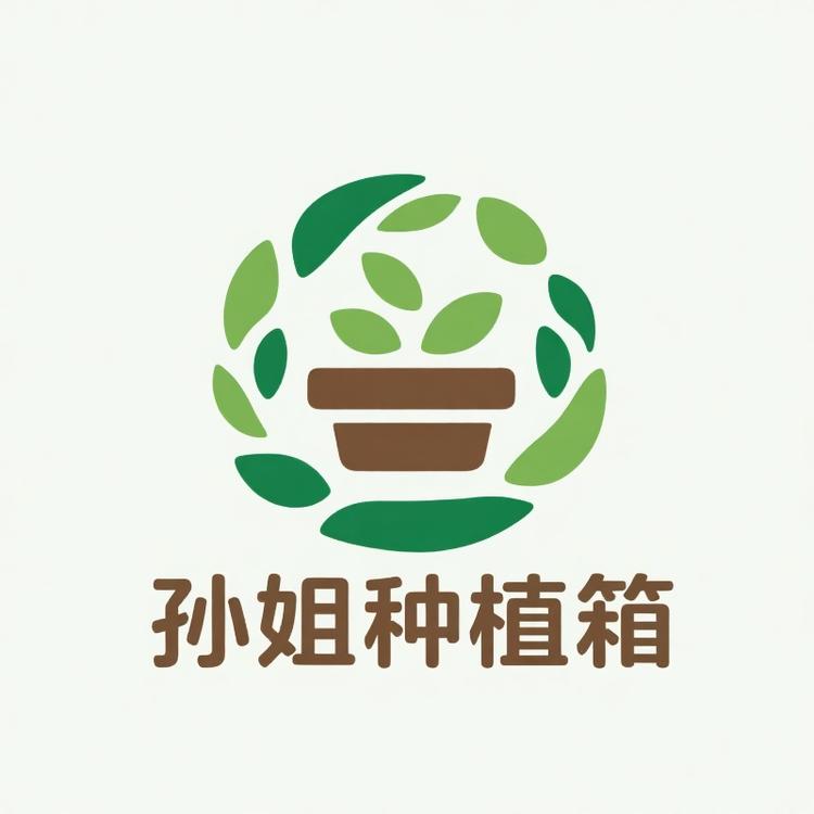 孙姐种植箱