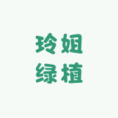 玲姐绿植A