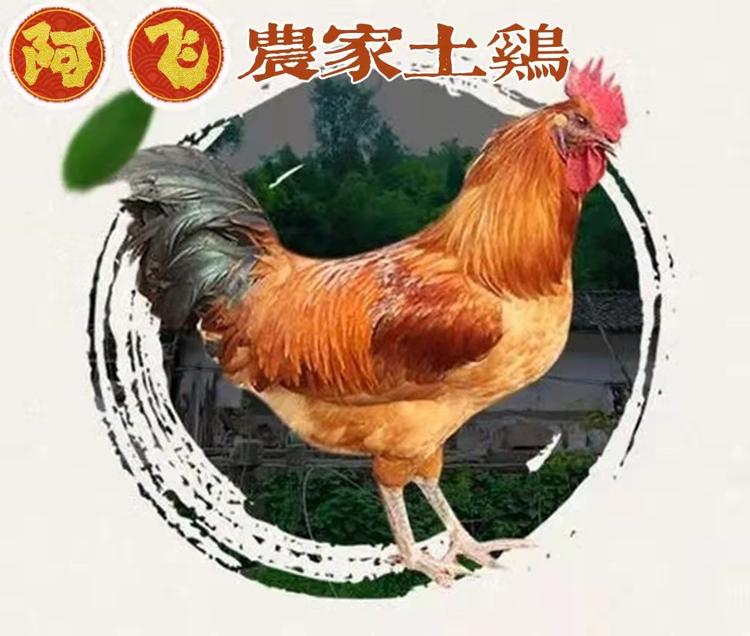 黟县阿飞散养土鸡行的小店
