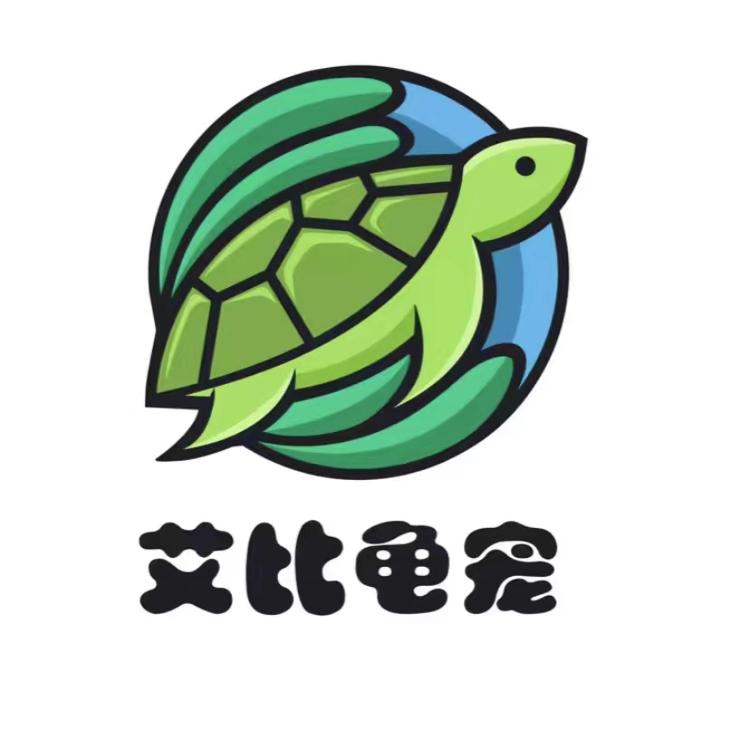 艾尚龟宠