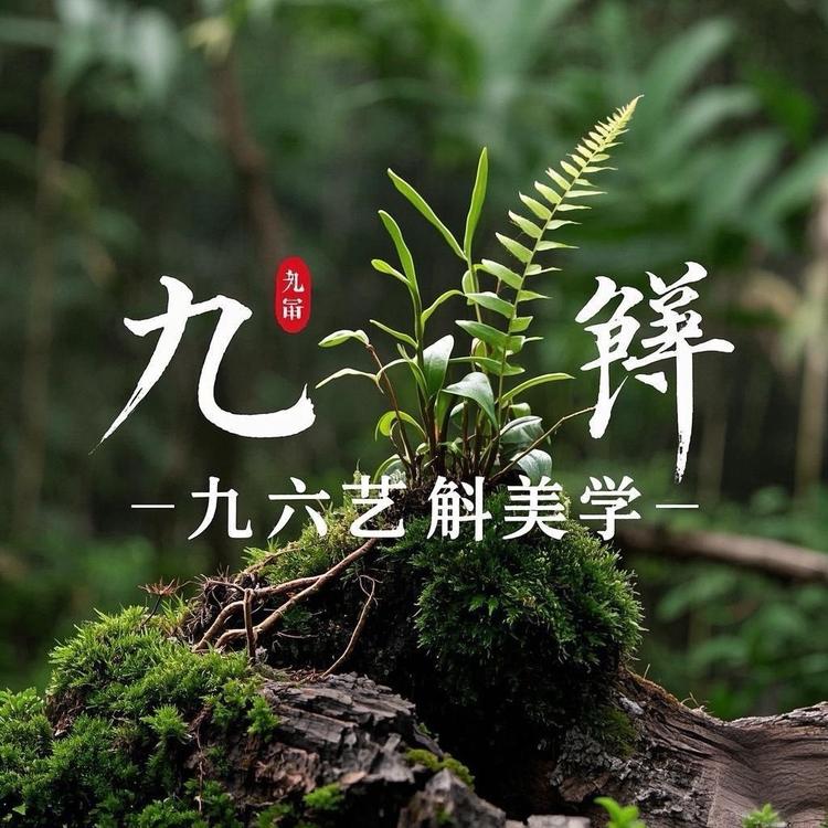 艺斛美学