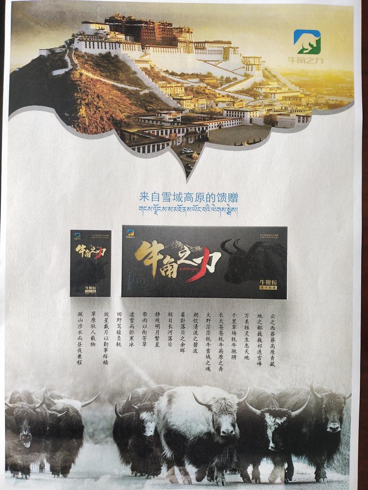 金旭宝