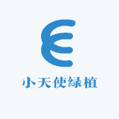 小天使绿植