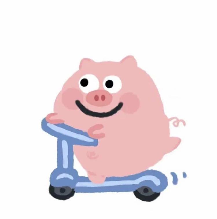 小猪今天吃什么