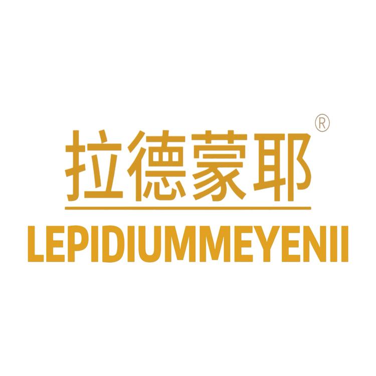 拉德蒙耶男士护理