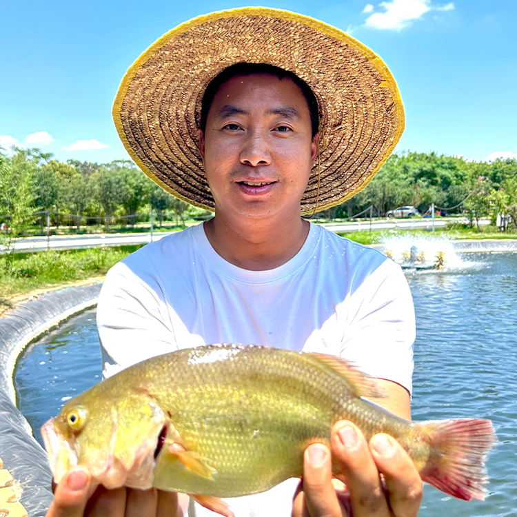 鲁小胖生鲜