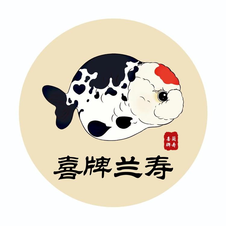 喜牌金鱼