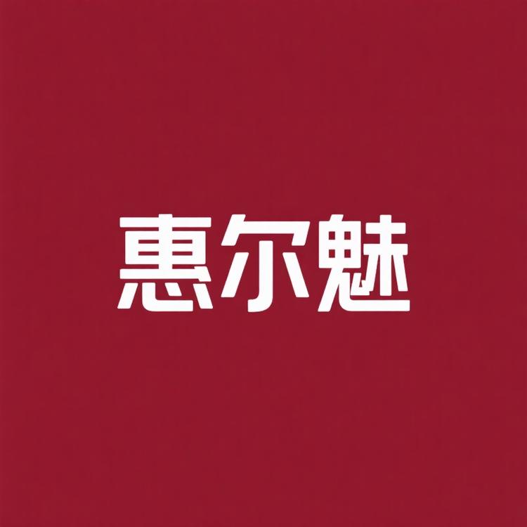 惠尔魅线材配件