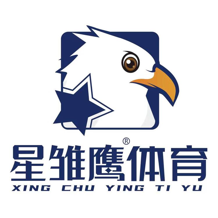 星雏鹰体育