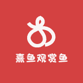 熹鱼观赏鱼