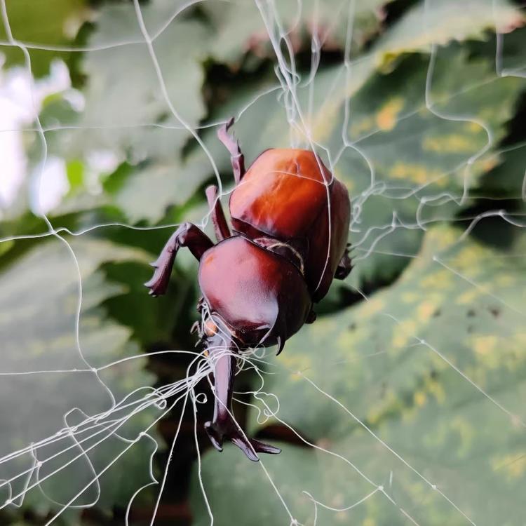 墨玉县速度电脑服务