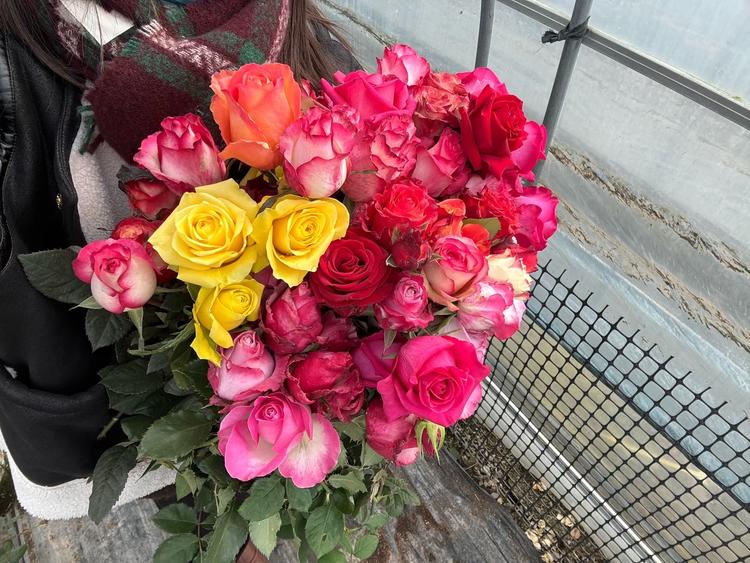年华花漾