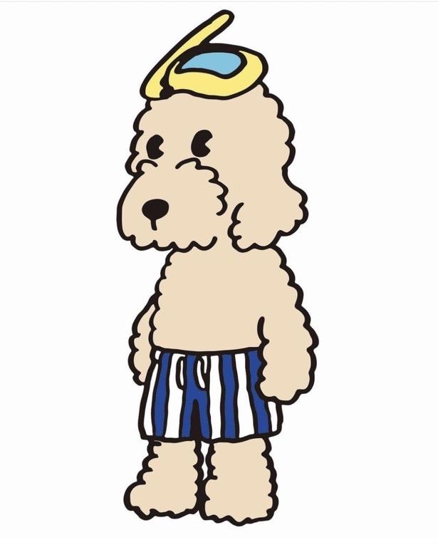 DcZoo萌宠周边