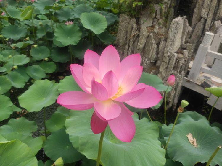 阳阳小库房