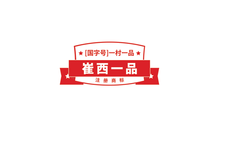 崔西一品