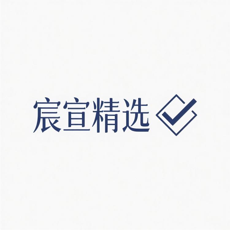 宸宣精选