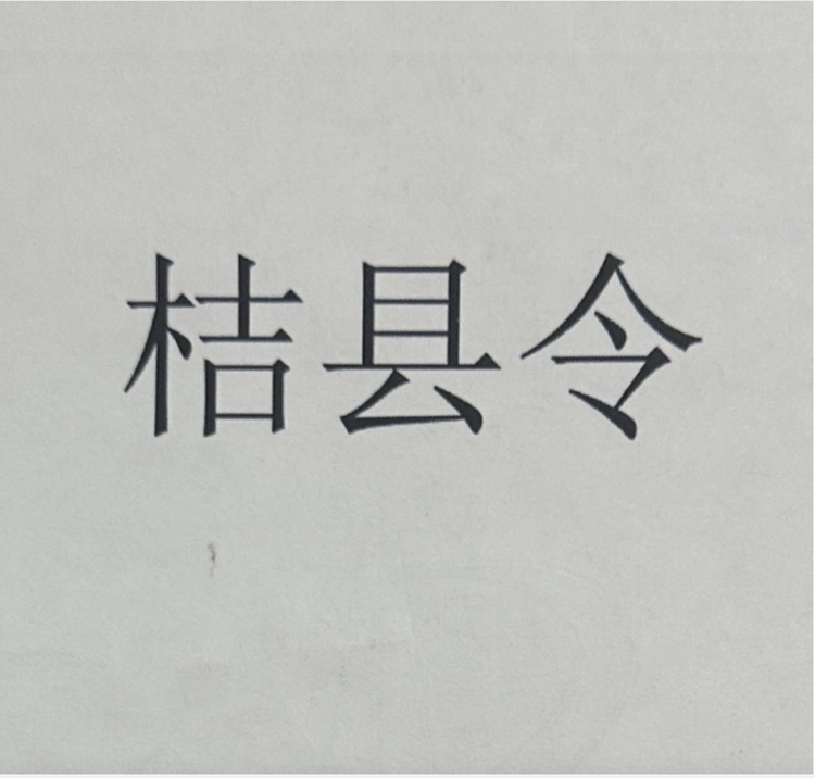 义乌市彬步商贸有限公司861专卖店