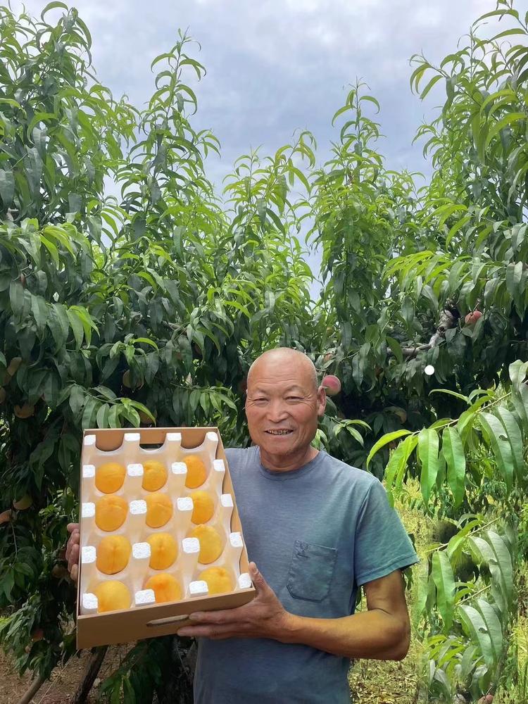 蒙阴小公农产品严选店