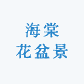 海棠花盆景