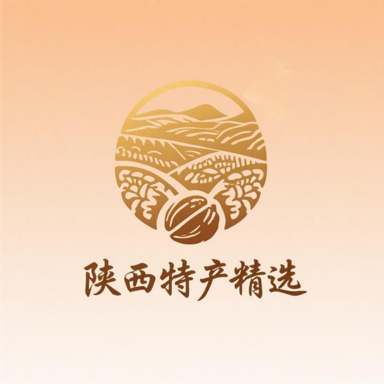 陕西特产精选