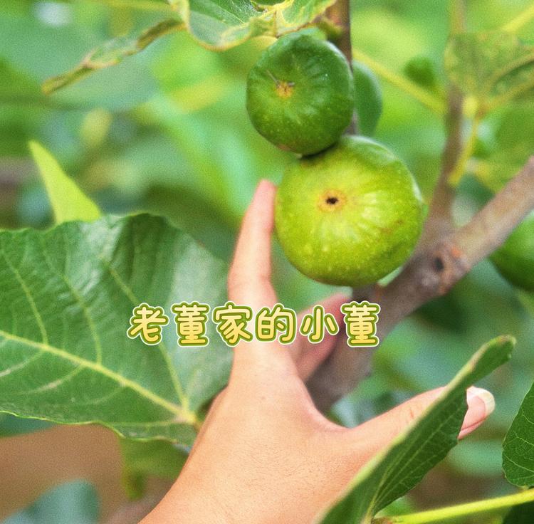 威海特产小董家