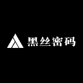黑丝密码