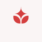PTCG河子拆卡