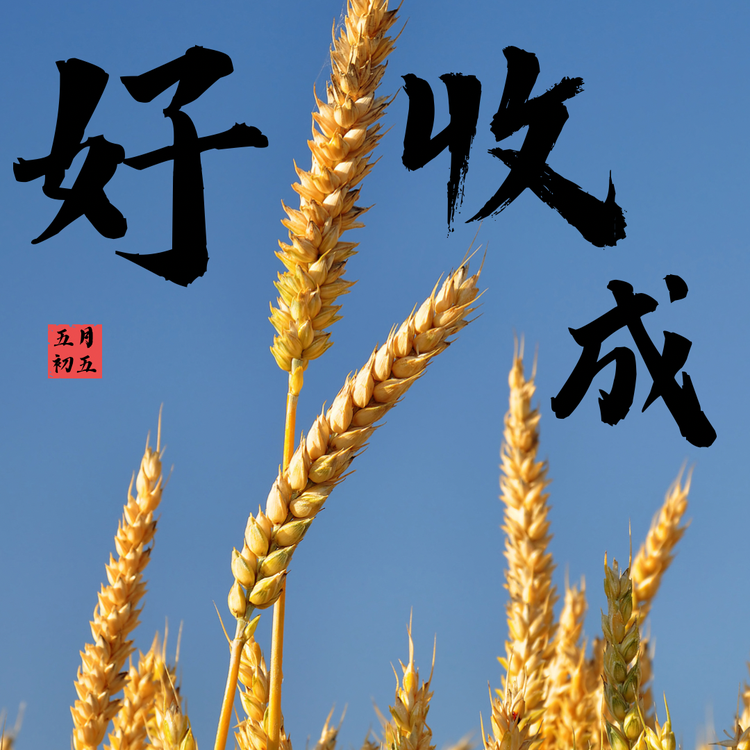 好收成