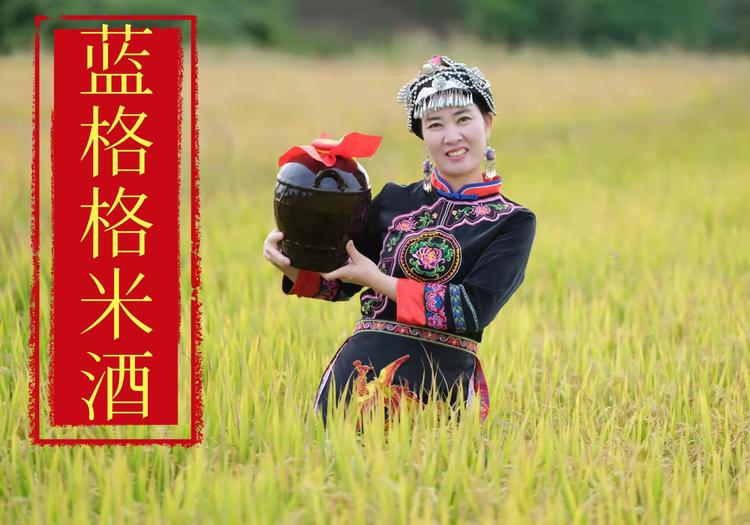 灶婆婆宏农专卖店