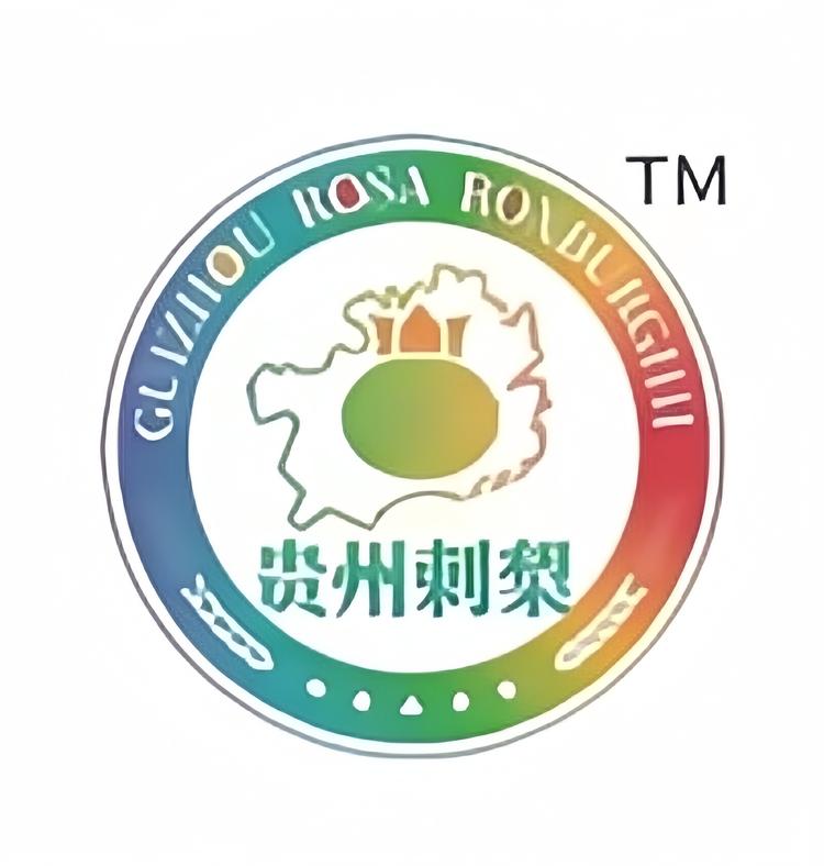 贵州原产有机刺梨特产馆