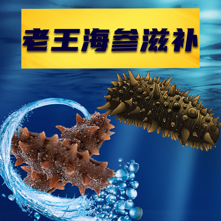 老王海参滋补店