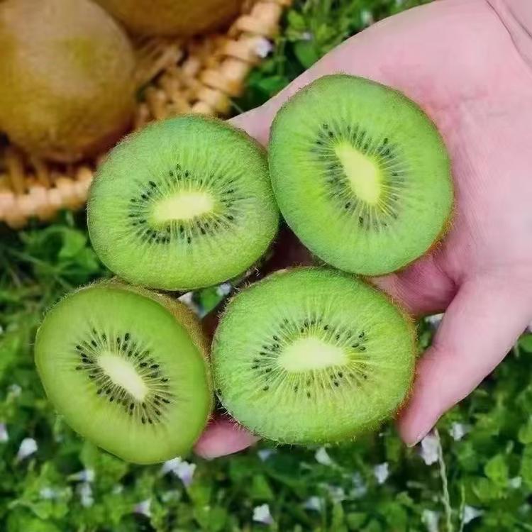 艺棵鲜水果销售站