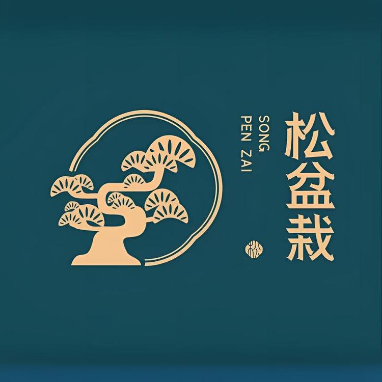臻品黄山松盆景