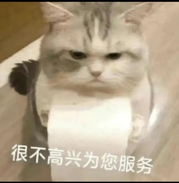 迪先生的快乐生活