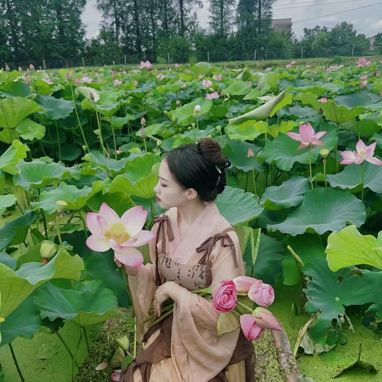 菱角姐姐