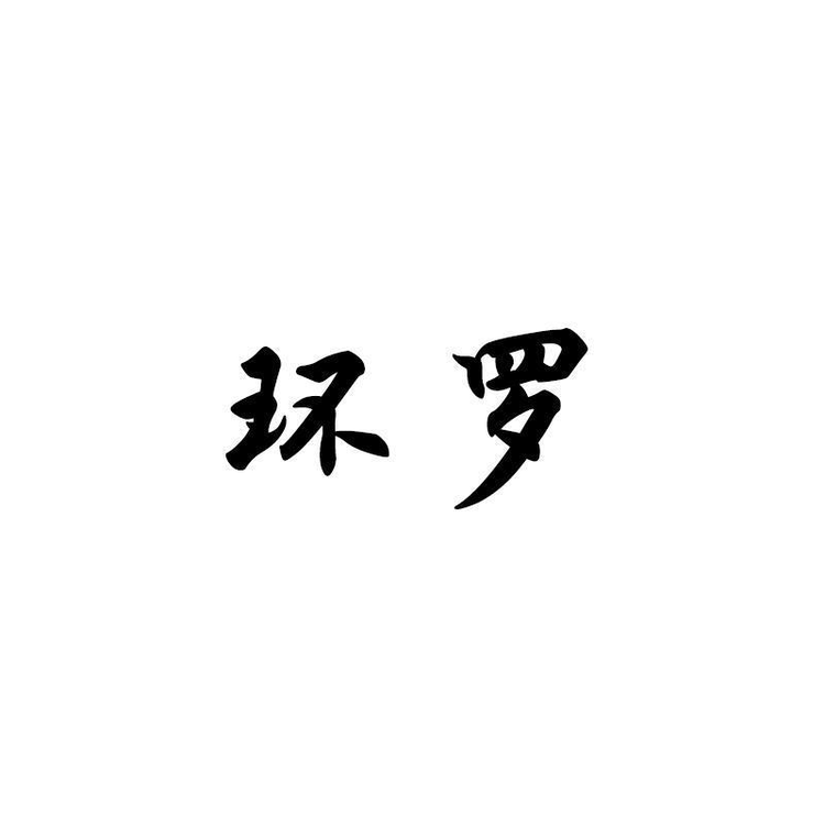 朵花派饰品
