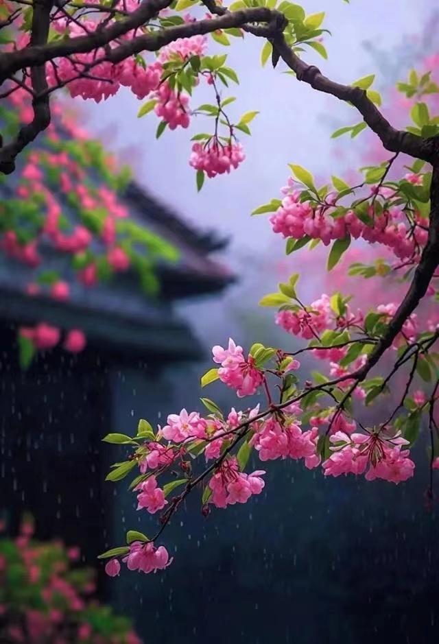 桂飞翔商贸有限公司