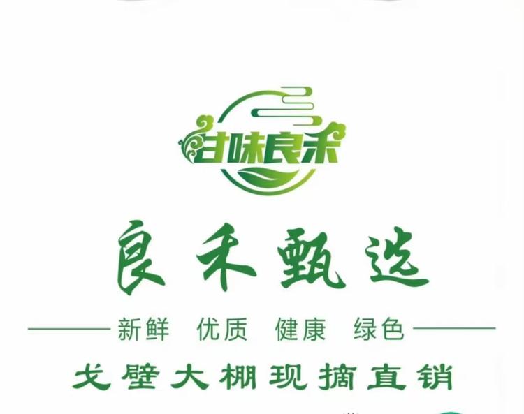 金塔良禾生鲜